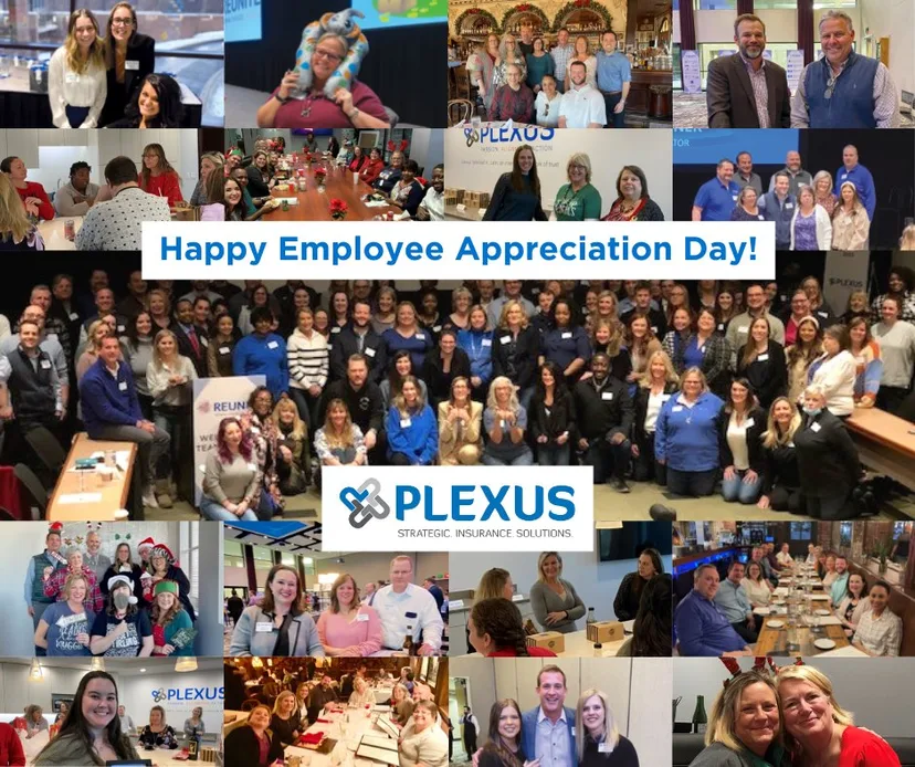Plexus Insurance The Plexus Groupe | Insurance Partner on Relli